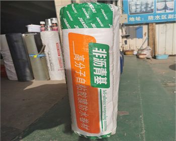 陕西防水卷材-非沥青基高分子自粘胶膜